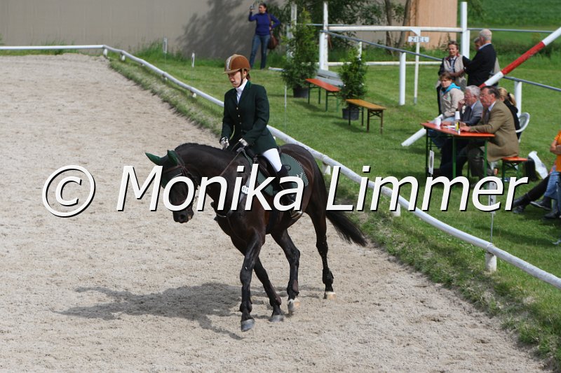 097M9182_Dark Shadow.JPG